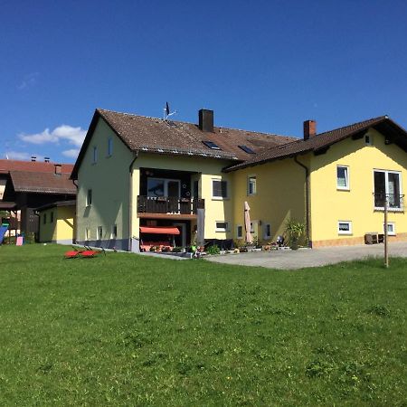 Appartamento Haus Am Treffenbach Waldmünchen Esterno foto