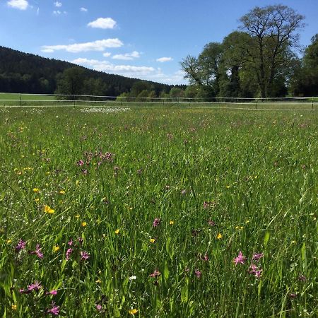Appartamento Haus Am Treffenbach Waldmünchen Esterno foto
