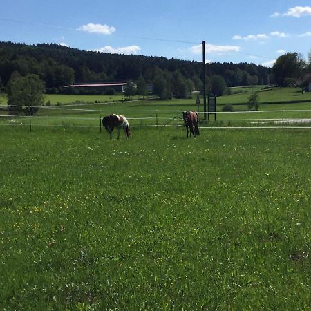 Appartamento Haus Am Treffenbach Waldmünchen Esterno foto