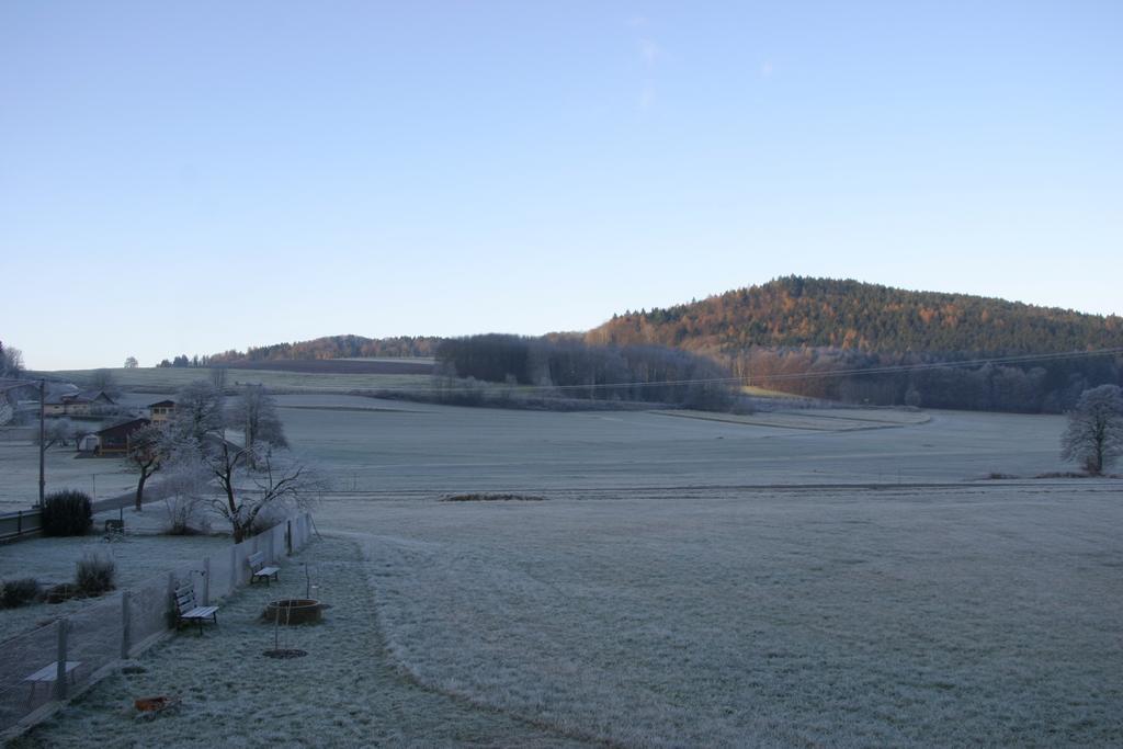 Appartamento Haus Am Treffenbach Waldmünchen Esterno foto