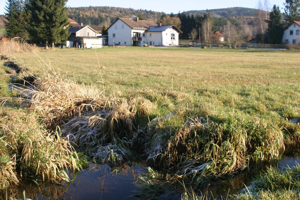 Appartamento Haus Am Treffenbach Waldmünchen Esterno foto