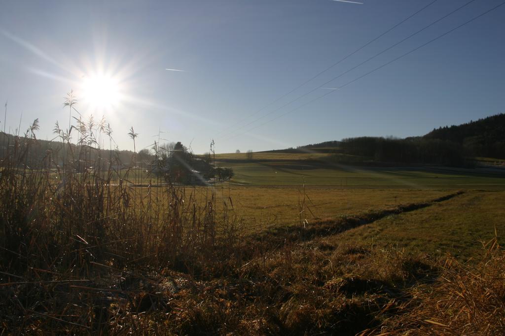 Appartamento Haus Am Treffenbach Waldmünchen Esterno foto