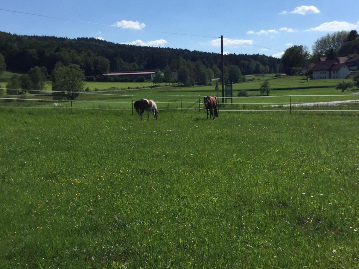 Appartamento Haus Am Treffenbach Waldmünchen Esterno foto